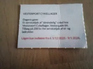 Servicetjek af almindelig cykel