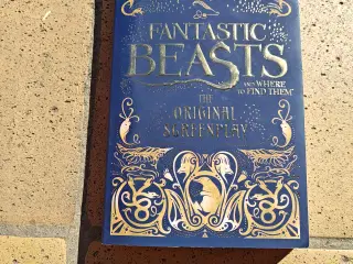 J.K. Rowling Fantastic Beasts and where to find em