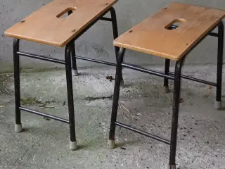 Skole skamler i bøgetræ