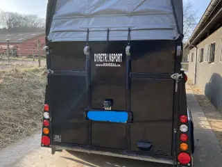 Hestetrailer Anssems PTH 2000 EXCELENTE