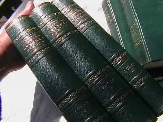 5 Bøger. Ingvar Liberkind