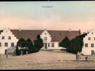 Elvedgaard - C. St. 4003 - Ubrugt