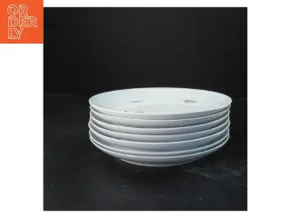 Porcelænstallerkener Ø24 cm, 8 stk fra B&G. Løvfald (str. Ø 24 cm)