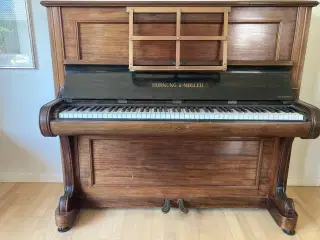 Klaver, Hornung & Møller
