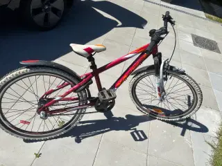 Cykel X-zite 24”