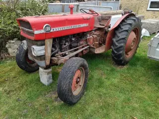 Massey Ferguson 135 Benzin