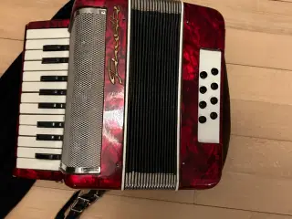 Finotti, lille tangent harmonika