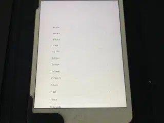 iPad mini 2