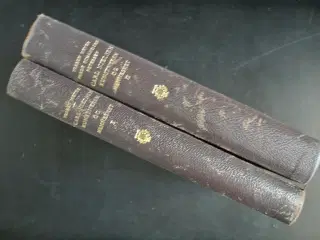 carl nielsen - kunstneren og mennesket 1-2, af tor