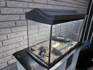 Akvarier 60L 