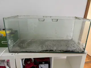 Akvarie 100 liter