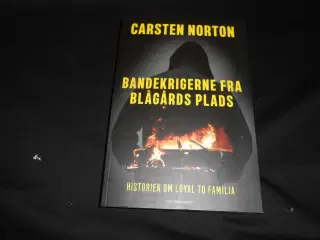 Bandekrigerne fra Blågårds plads