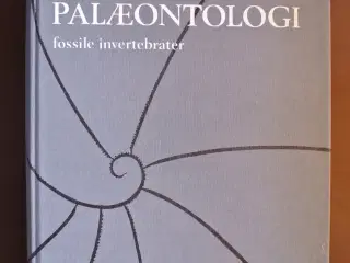 palæontologi fossile invertebrater, af wienber ras