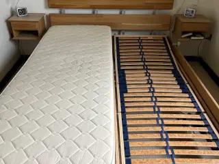 Elevationsseng