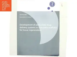 Development of particulate drug delivery