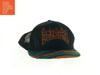 Miami Dolphins kasket