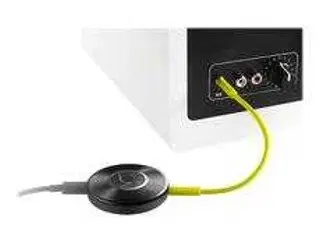 Google Chromecast audio