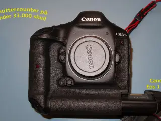 Canon Eos 1 DX