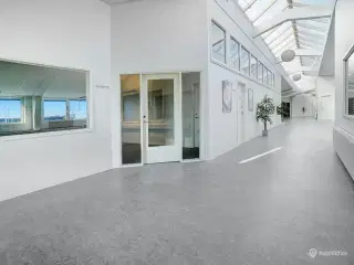 Lyst og lækkert kontor