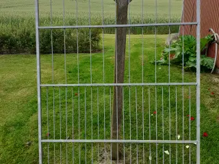 hundegård