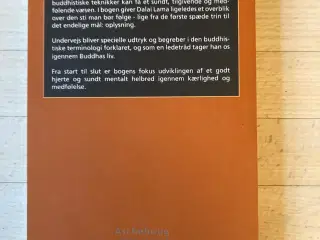 Vælg hjertets vej, H H Dalai Lama