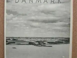 Sangens DANMARK (B1)