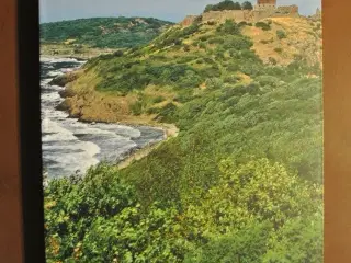 bornholm - en naturguide, af benny gensbøl og lott