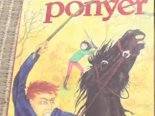 Vinter Ponyer
