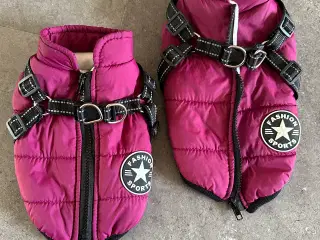 Vinterdækken til hvalp/lille hund