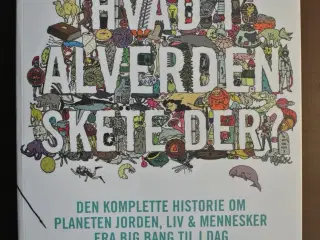 hvad i alverden skete der, af christopher lloyd, e