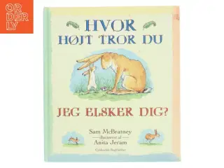 Hvor højt tror du jeg elsker dig? (Bog)