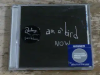ANTONY AND THE JOHNSONS - I AM A BIRD NOW