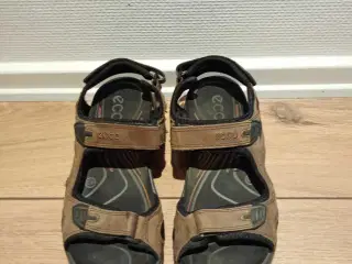 Herresandaler, Ecco, str. 43.