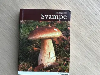 Miniguide Svampe