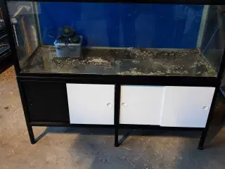 Akvarie 325L