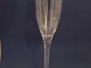 Champagne glas Luigi