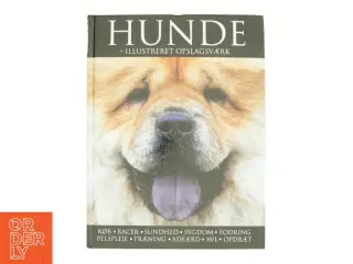 Hunde - illustreret opslagsværk (Bog)