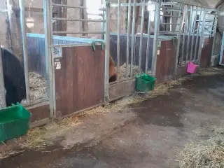 Hestebokse fra Fremtiden Staldinventar sælges