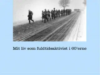 I Venstrefløjens Øje. Fuldtidsaktivist i 1960'erne
