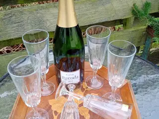 Franske vintage champagne glas 