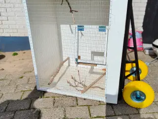 Fuglebur pænt stort