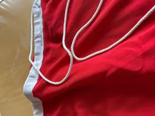 Flag, Dannebrog,nyt