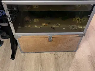 Akvarie med fisk, sand, filter og varme rør