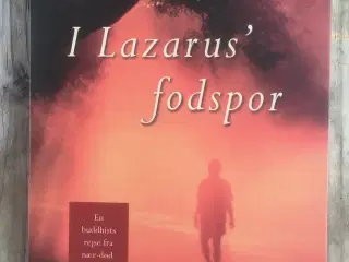 I Lazarus' fodspor, Lewis Richmond