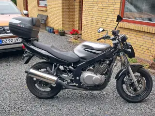 suzuki gs 500