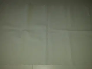Vådliggerlagner