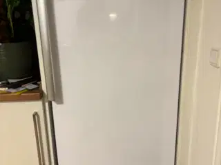 Næsten nyt Blomberg køleskab med kvittering