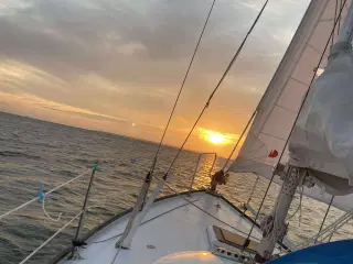 Sejlbåd Sagitta 26