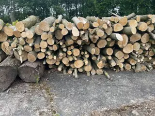 Runde træstammer til rådighed kan leveres