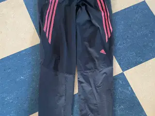 Adidas Adizero læbetights